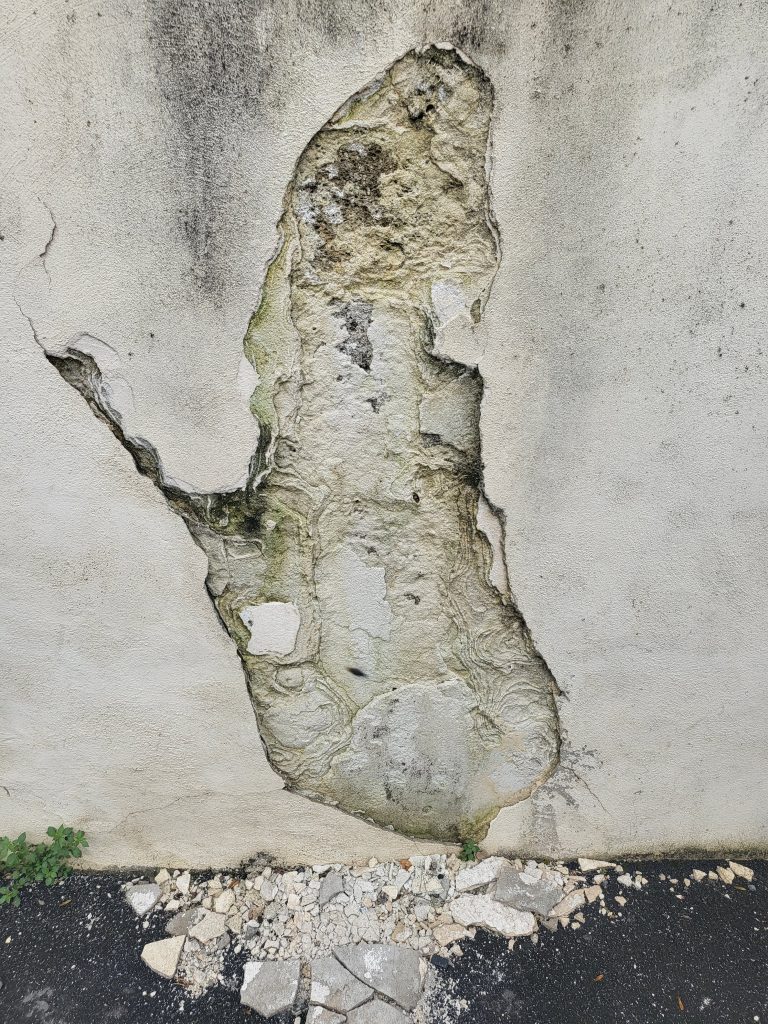 France Traitements - Traitement de termites Occitanie PACA