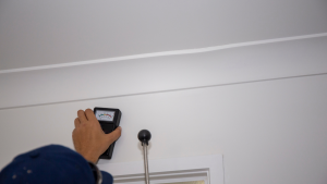 inspection termites gard - France Traitements