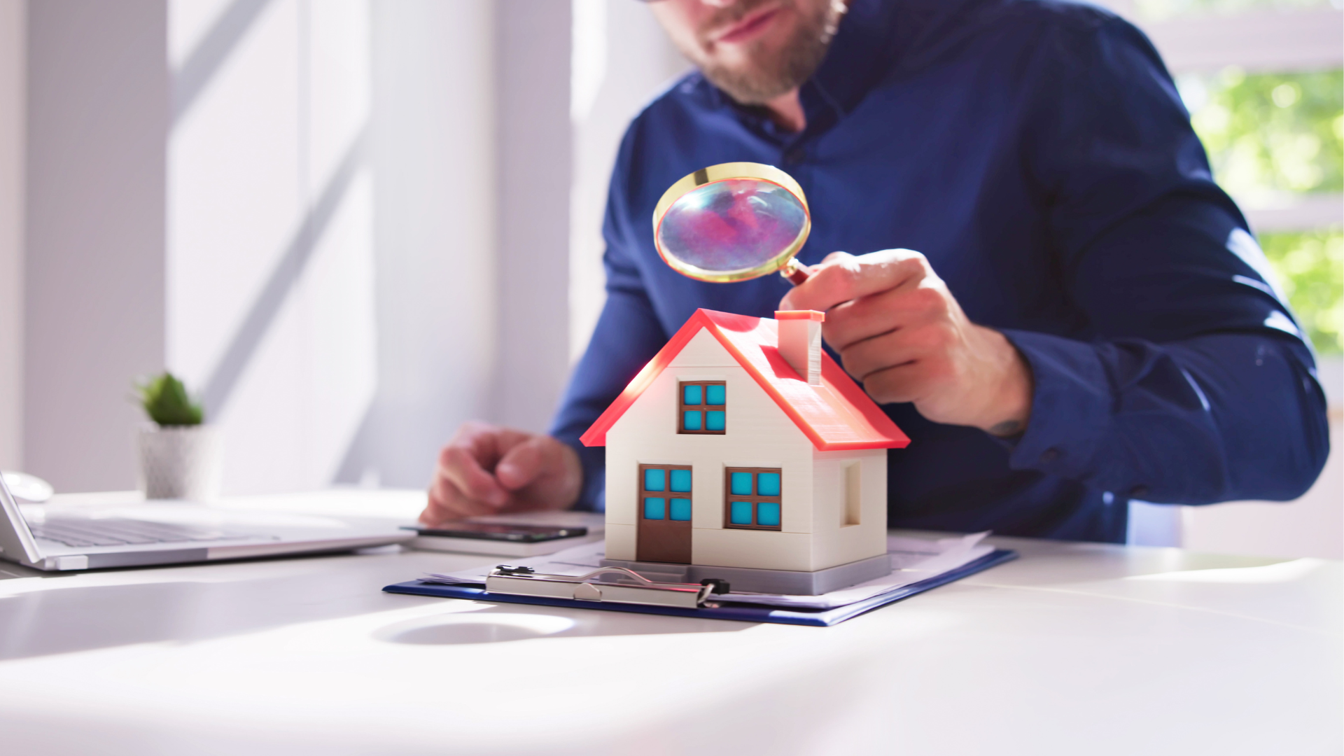 réglementation-termites-hérault