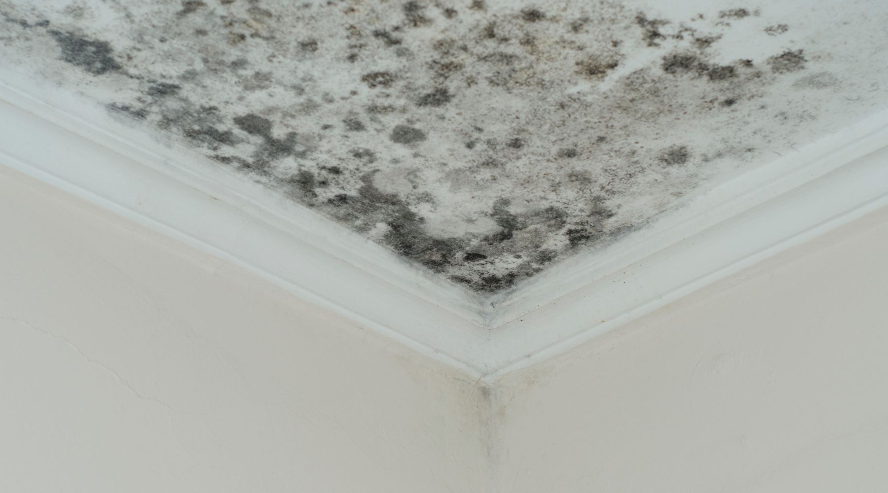 Blog France Traitements