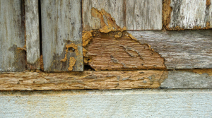 Images Blogs France Traitements 2026 00009 (1)